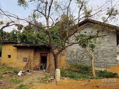 窗外+廊廖+老家兒時(shí)回憶