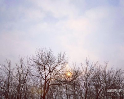 窗外+北京+春日陽光