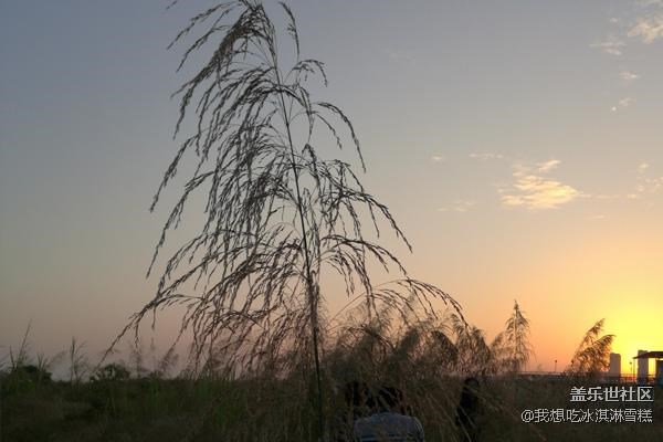 春風(fēng)十里不如你