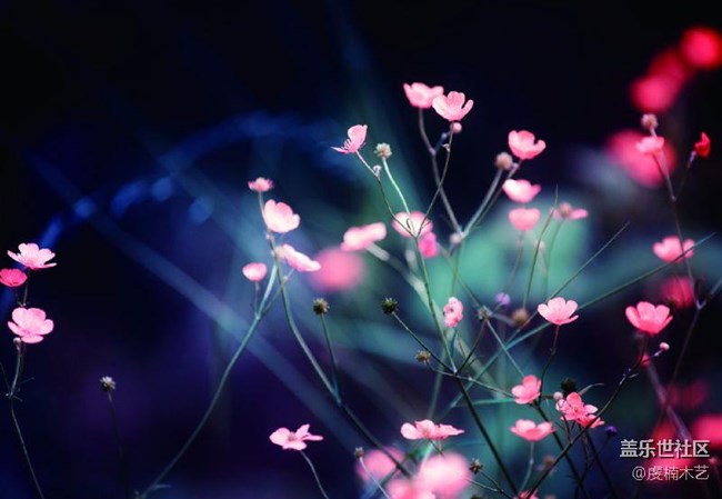 心情隨筆~生活不會(huì)刻意虧欠誰(shuí)