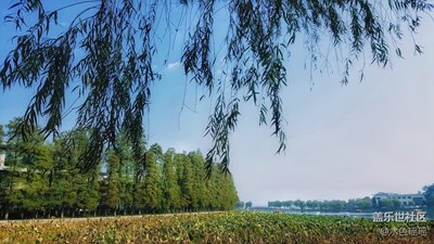 也許在哪兒見過