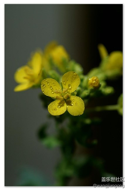 這個論壇就像18世紀(jì)的蒸汽機(jī)時代！