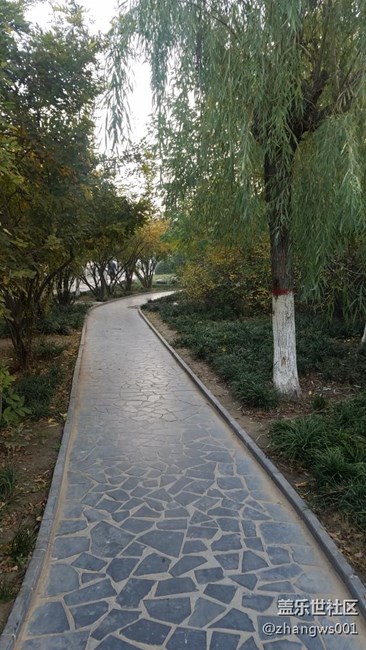 不更新7.0正式版  就曬曬照片吧