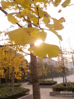 大家來看看,指導指導!!!