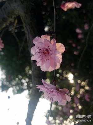 大家來看看,指導指導!