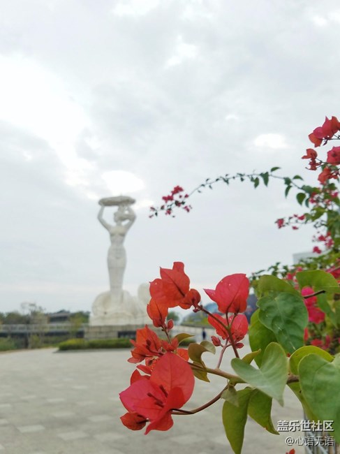 各位鵬城的小伙伴，大家好~~~