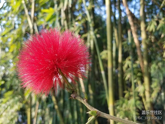 感覺(jué)這兩天電池耐用了呢