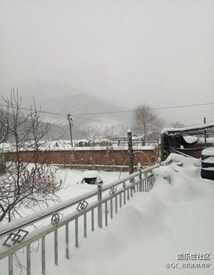 初春的季節(jié)，嚴(yán)冬的景象