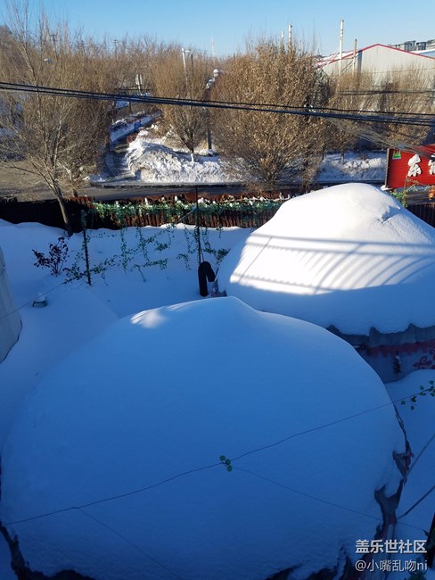 7·0雪景照片，天氣原因，沒任何修圖