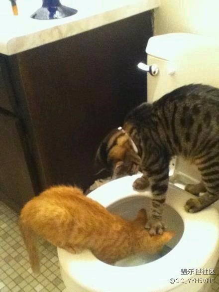 從三星更新7.0來看三星對中國的態(tài)度