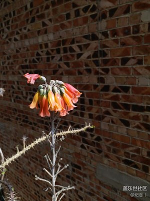 測試C9PRO相片信息