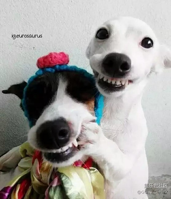 下一版有說(shuō)什么時(shí)候更新么？