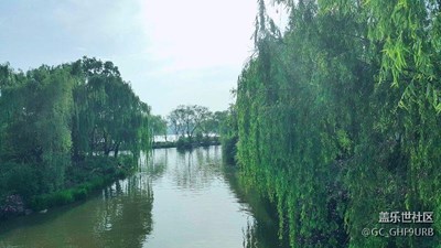 去年春天大明湖畔