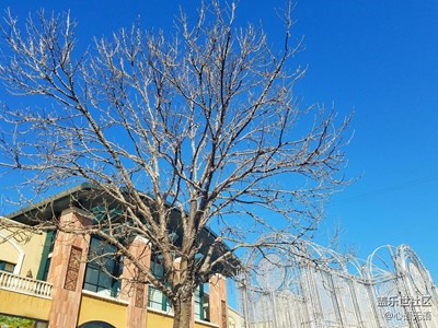 【家就在心中】有家人的地方，就是家的方向~~