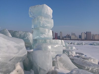 春天來了+哈爾濱+送冬迎新春