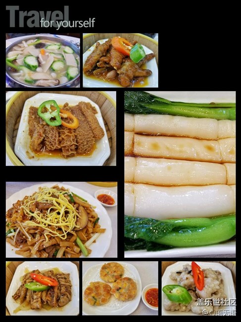 心語(yǔ)游深圳之春在深圳灣 心語(yǔ)游深圳之春在深圳灣