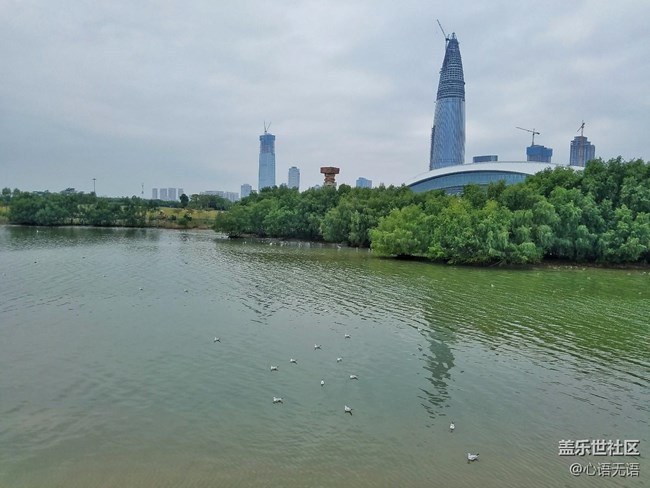 心語(yǔ)游深圳之春在深圳灣 心語(yǔ)游深圳之春在深圳灣