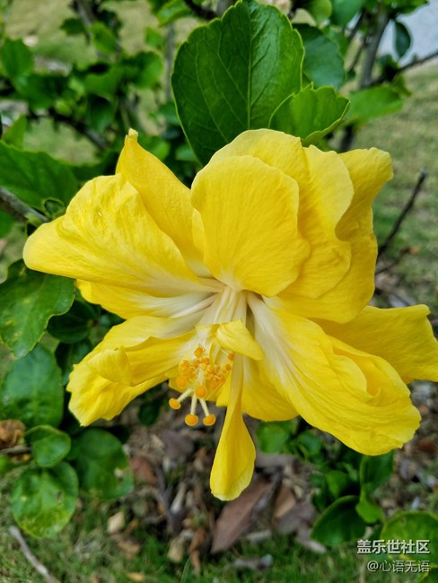 心語(yǔ)游深圳之春在深圳灣 心語(yǔ)游深圳之春在深圳灣