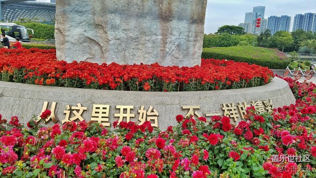 心語(yǔ)游深圳之春在深圳灣 心語(yǔ)游深圳之春在深圳灣