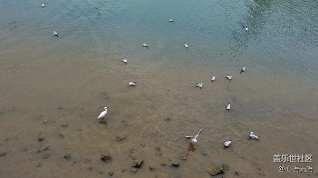 心語(yǔ)游深圳之春在深圳灣 心語(yǔ)游深圳之春在深圳灣