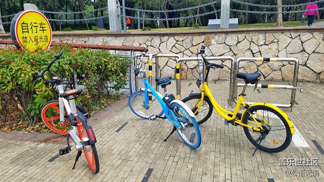 心語(yǔ)游深圳之春在深圳灣 心語(yǔ)游深圳之春在深圳灣