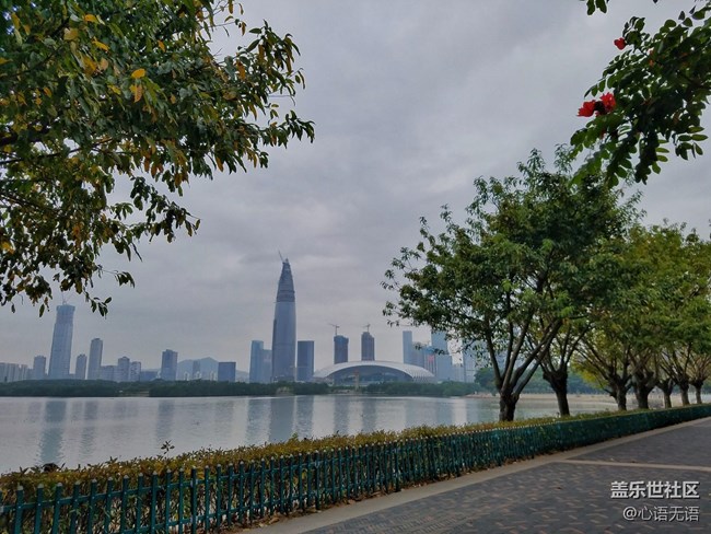 心語(yǔ)游深圳之春在深圳灣 心語(yǔ)游深圳之春在深圳灣