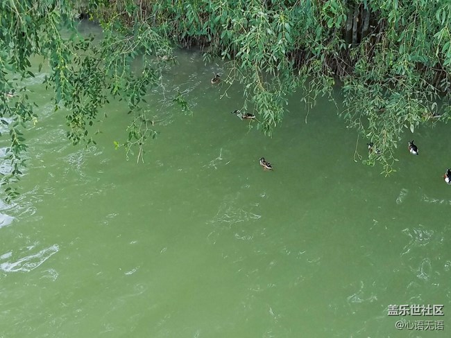 心語(yǔ)游深圳之春在深圳灣 心語(yǔ)游深圳之春在深圳灣