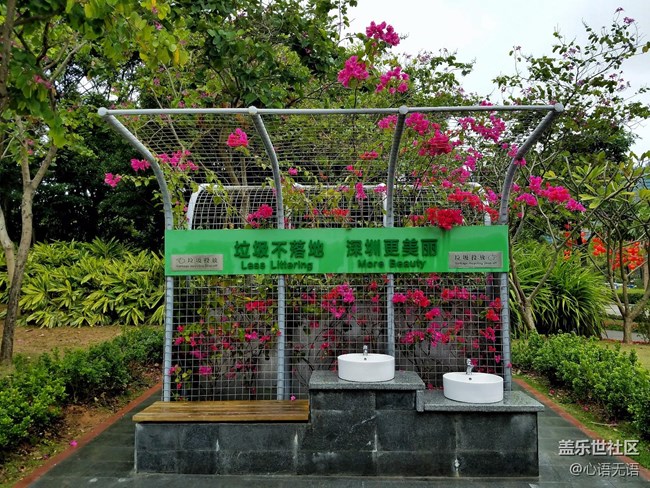 心語(yǔ)游深圳之春在深圳灣 心語(yǔ)游深圳之春在深圳灣