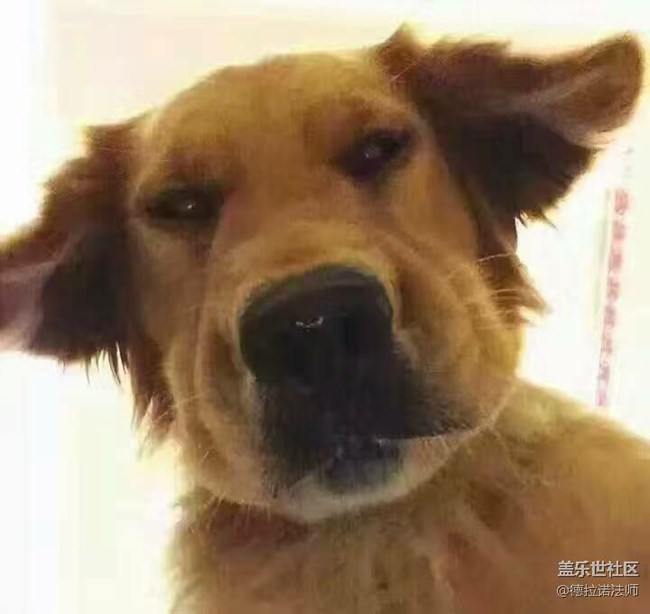 今天還有車嗎？