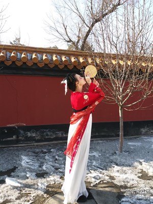 春天來了+哈爾濱+春風(fēng)送暖