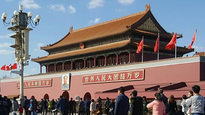 這張照片顯不顯示尾巴