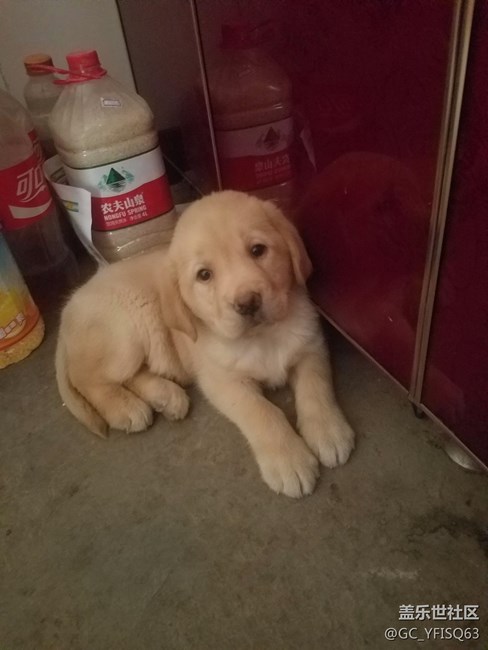 大家?guī)蛶兔? title=