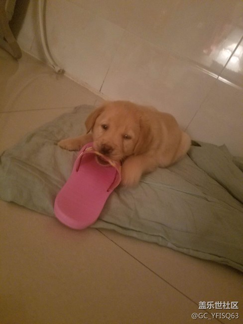 大家?guī)蛶兔? title=