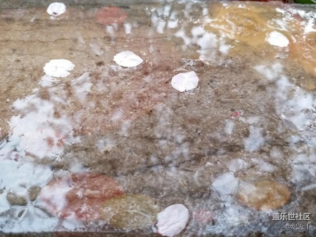 c9通話聲音 游戲聲音解決