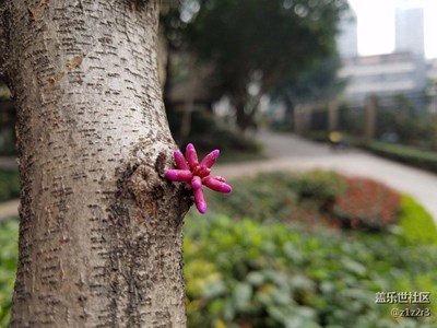 隨便來(lái)一張