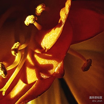 春來了 + 哈爾濱 +我的春季就沒走。