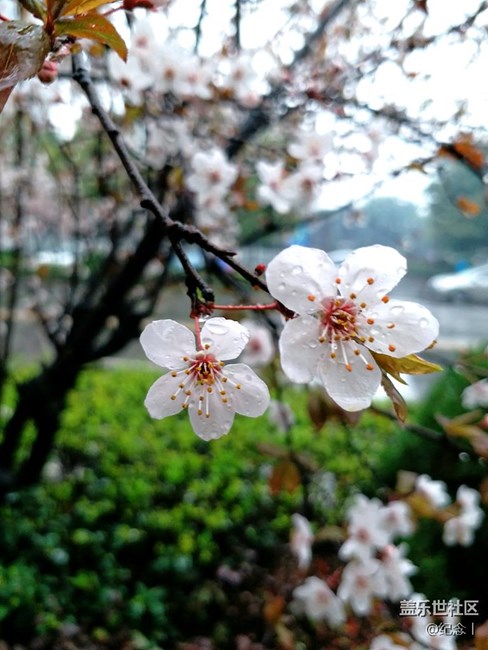 c9通話聲音 游戲聲音解決