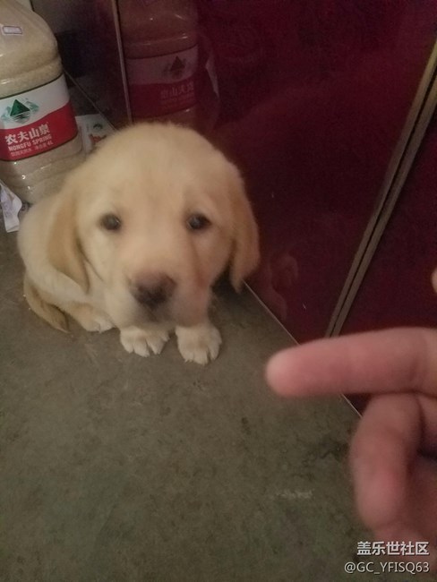 大家?guī)蛶兔? title=