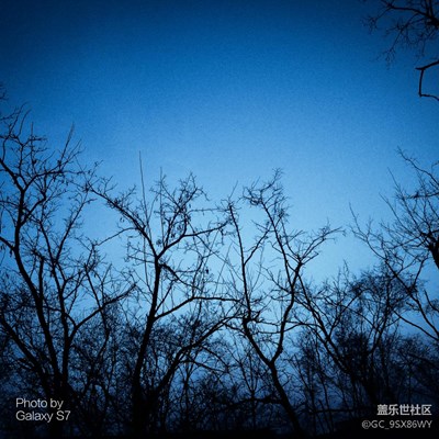 隨手拍