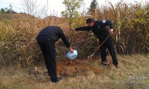 蓋樂世星工場 廣州星部落丨 植樹節(jié)，我們走！