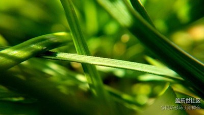 春意盎然－校園手機(jī)拍攝