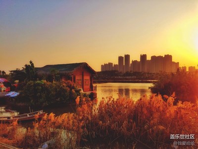 漫步在廈門園博園