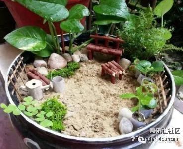 蓋樂世星工場 廣州星部落丨 植樹節(jié)，我們走！