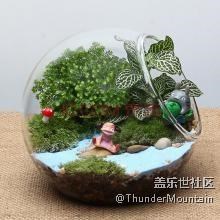 蓋樂世星工場 廣州星部落丨 植樹節(jié)，我們走！