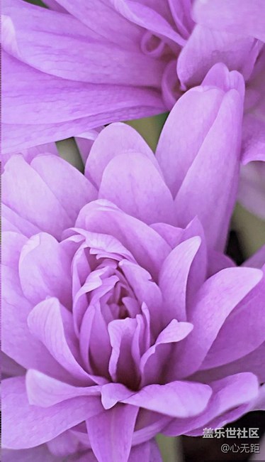 升級7.0后再現(xiàn)N7就有的壁紙啦！