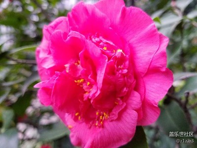 更新了7.0，拍出來(lái)成這樣了