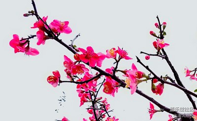 春花、春水、春來的人