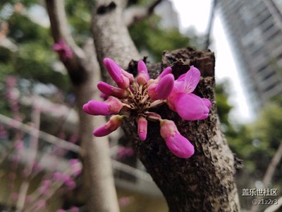 降回6.0，相機(jī)好了