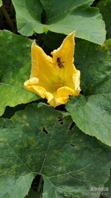 服役了兩年的牛4