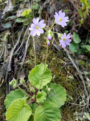 感謝親們長(zhǎng)期以來(lái)的關(guān)注和點(diǎn)贊